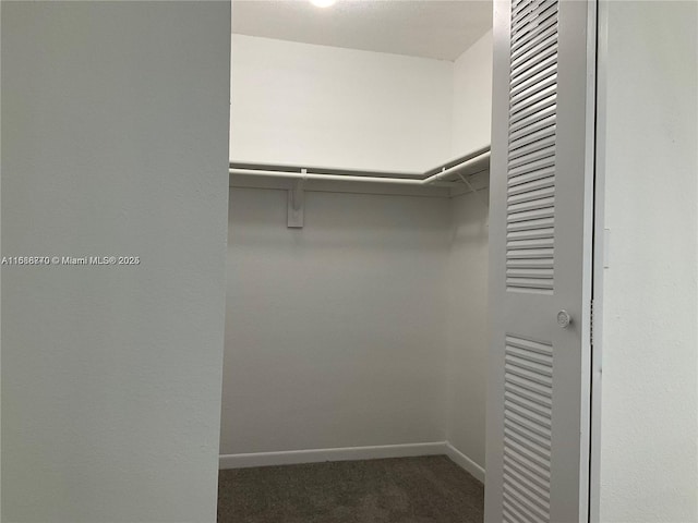 walk in closet with dark colored carpet