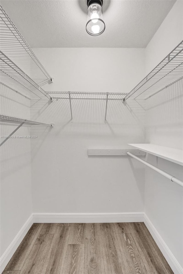 walk in closet with hardwood / wood-style flooring