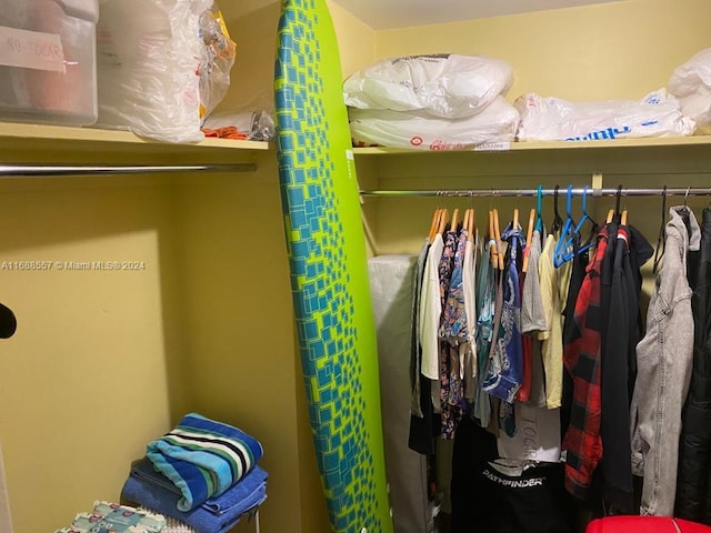 view of walk in closet