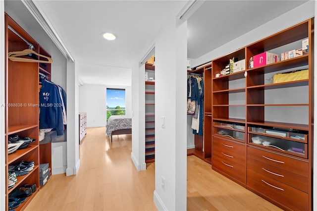 spacious closet featuring light hardwood / wood-style floors