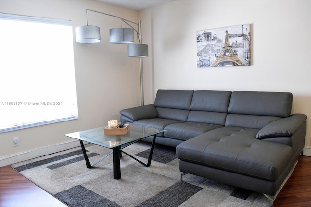 living room with dark hardwood / wood-style floors