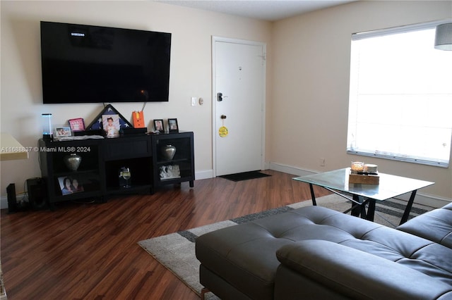 living room with dark hardwood / wood-style flooring