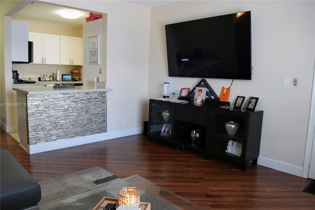 living room with dark wood-type flooring