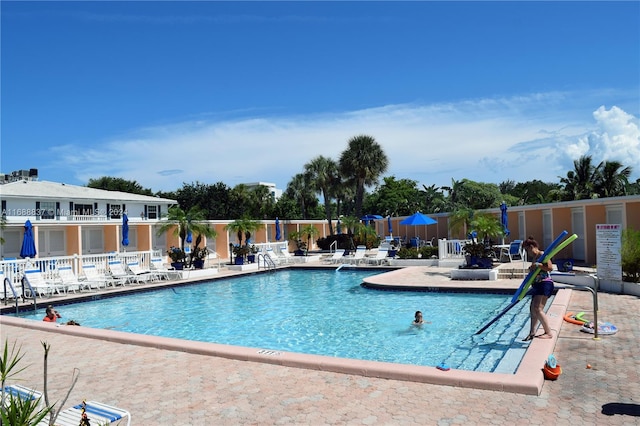 view of pool featuring a patio