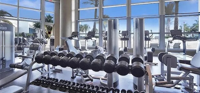 gym featuring a wall of windows, a towering ceiling, and a wealth of natural light