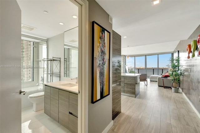 hall with plenty of natural light, sink, and light hardwood / wood-style flooring