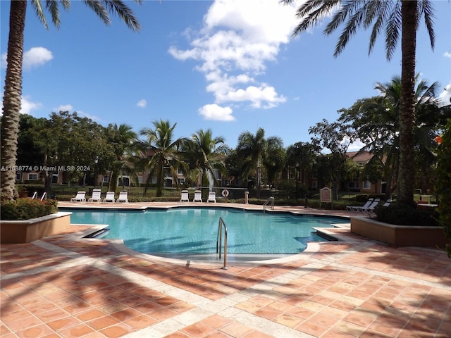 view of pool featuring a patio