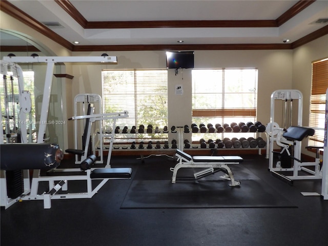 workout area with a healthy amount of sunlight and crown molding