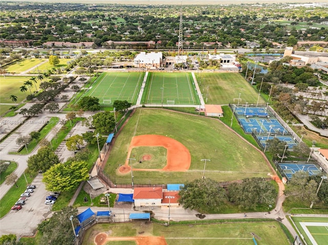 bird's eye view