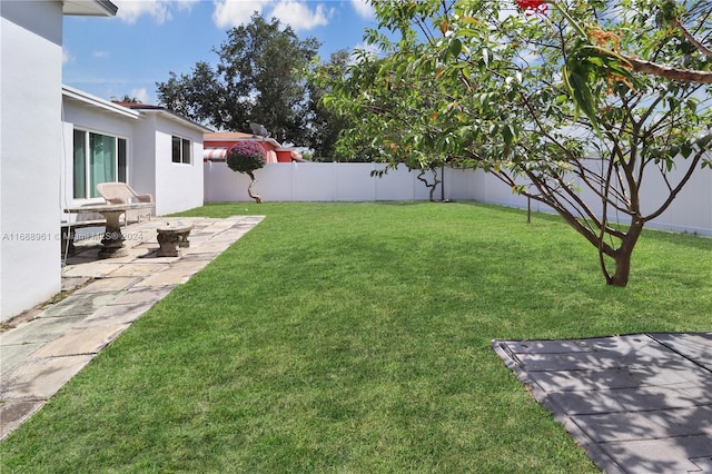 view of yard featuring a patio area