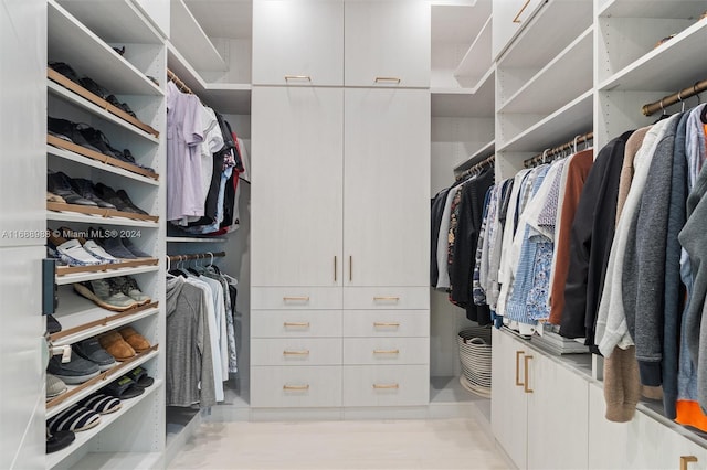 view of walk in closet