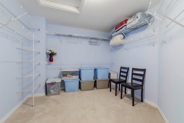 spacious closet with carpet