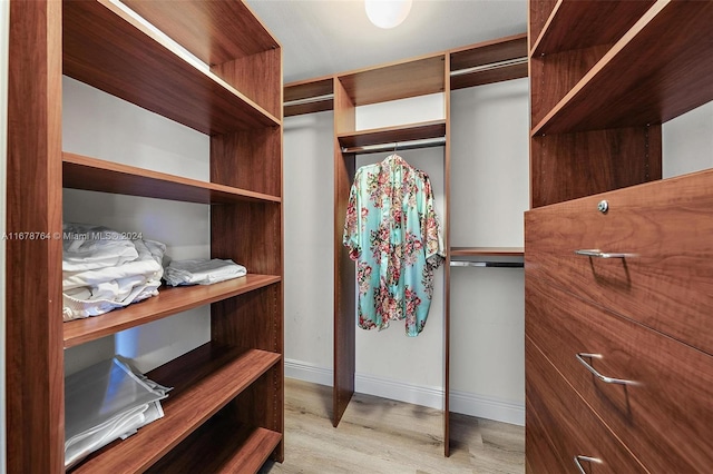 walk in closet featuring light hardwood / wood-style floors