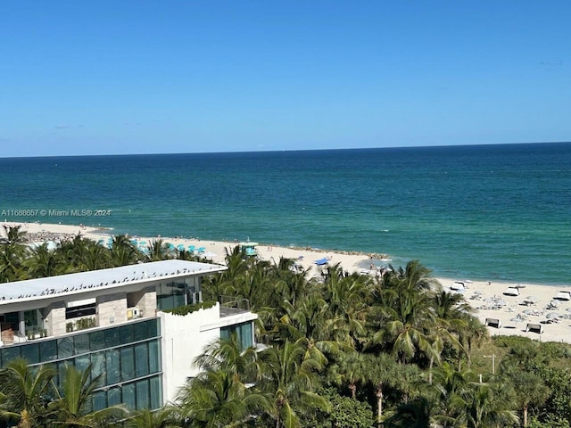 water view with a view of the beach