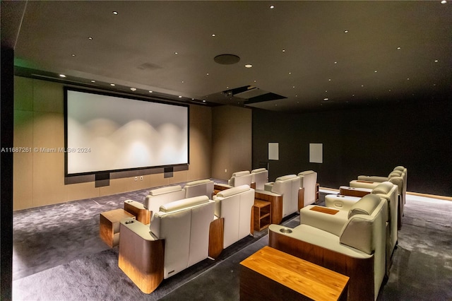 view of carpeted home theater