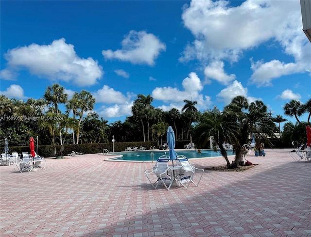 view of pool featuring a patio