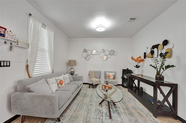 living room with wood-type flooring