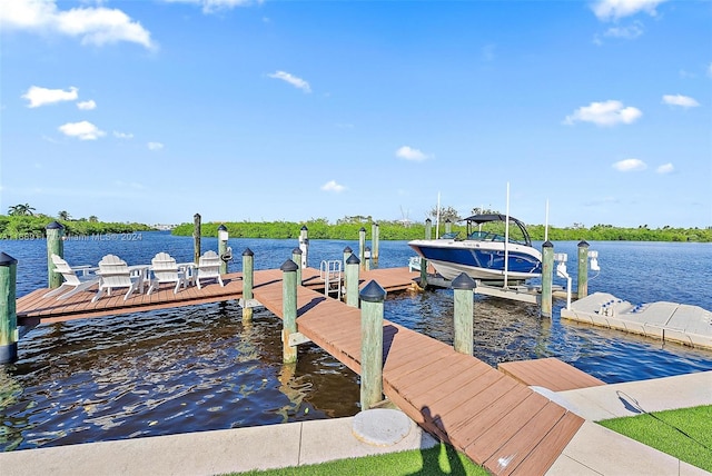 dock area with a water view