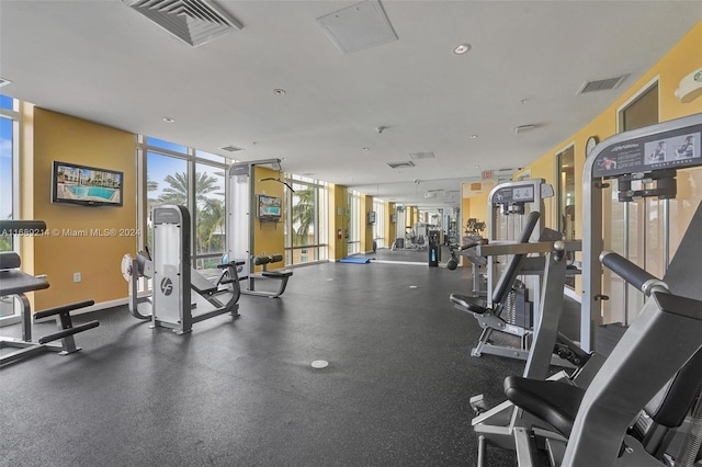 workout area featuring a wall of windows