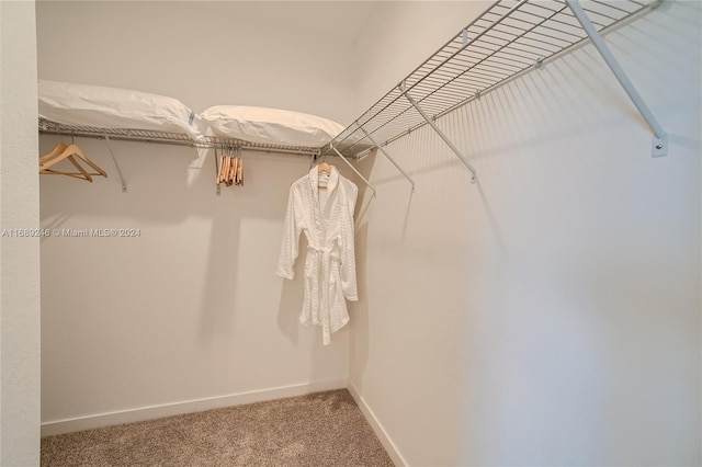 spacious closet with carpet