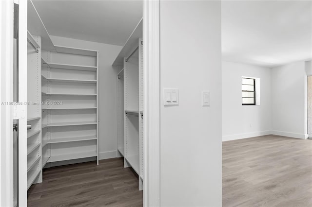 walk in closet with hardwood / wood-style flooring