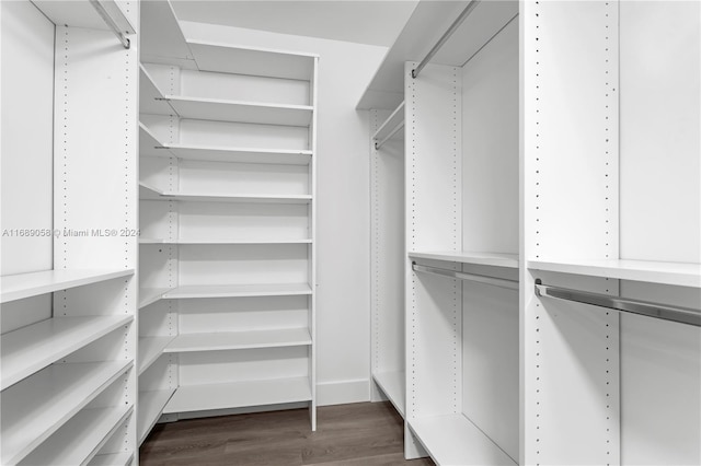 walk in closet with dark wood-type flooring