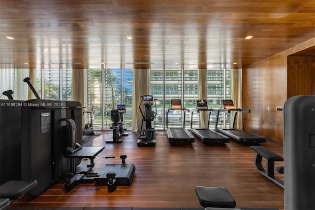 workout area with wooden walls, wooden ceiling, and dark hardwood / wood-style floors