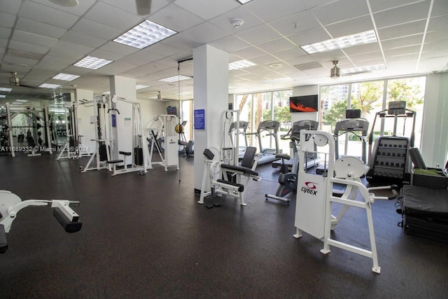 exercise room featuring a wall of windows and a paneled ceiling