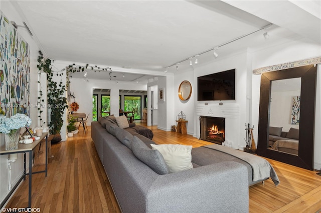 living room with rail lighting and hardwood / wood-style flooring