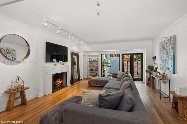 living room with hardwood / wood-style floors, ornamental molding, and rail lighting