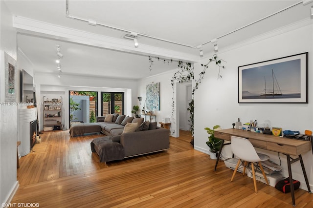 living room featuring ornamental molding, track lighting, and light hardwood / wood-style flooring