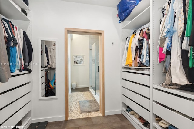 view of walk in closet