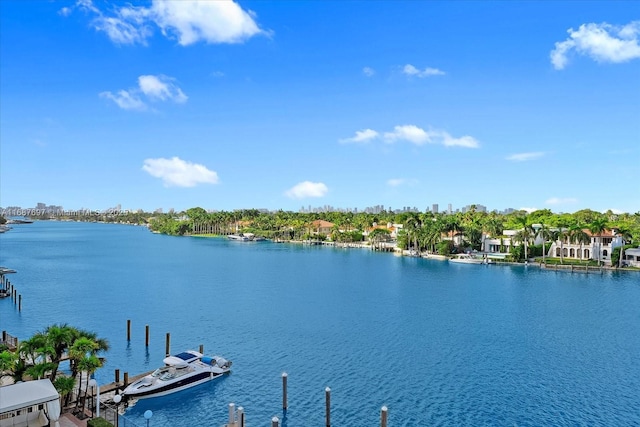 water view with a dock