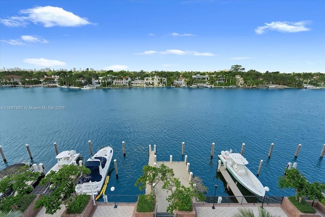 dock area with a water view