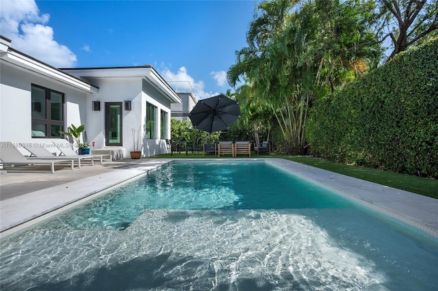 view of pool with a patio area