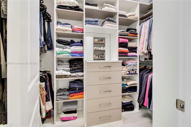 spacious closet with light carpet