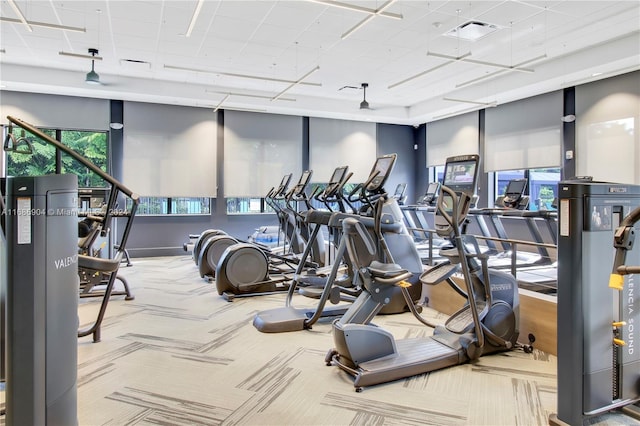 workout area with a healthy amount of sunlight and carpet floors