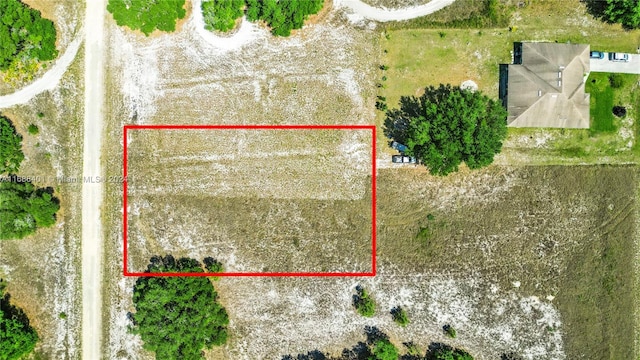 1704 Mcarthur Ave, Lehigh Acres, Lehigh Acres, FL 33972 - photo 2