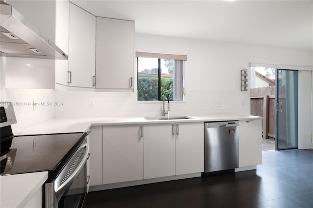 kitchen featuring a wealth of natural light, sink, wall chimney exhaust hood, and stainless steel appliances