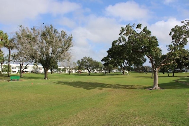 view of community featuring a yard