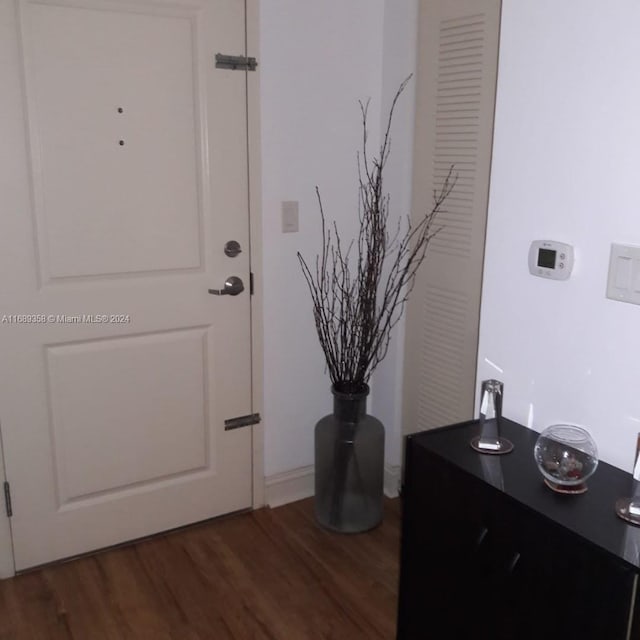 doorway with dark wood-type flooring