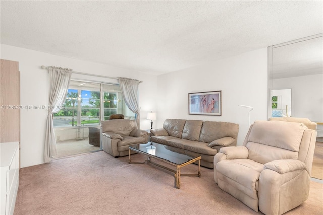 carpeted living room with a textured ceiling