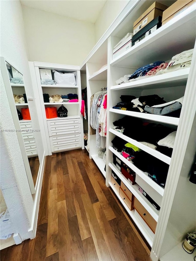 spacious closet with dark wood-type flooring