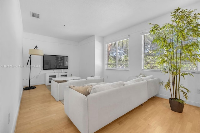 living room featuring light hardwood / wood-style floors