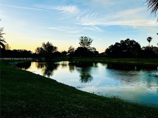 view of water feature