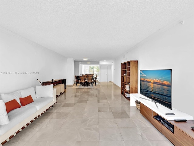 living room featuring a textured ceiling