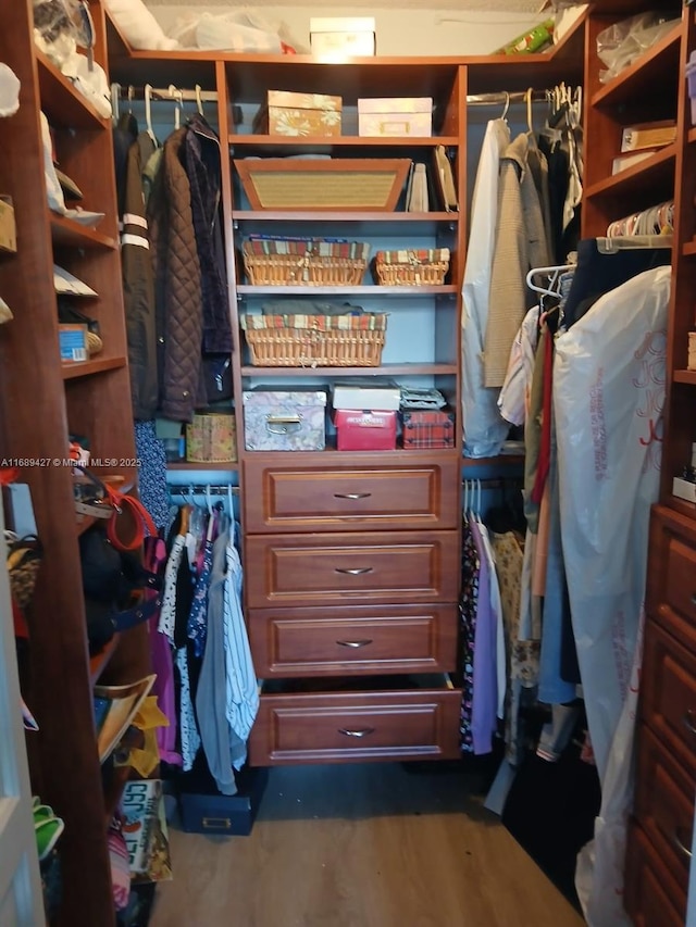 spacious closet with dark hardwood / wood-style flooring