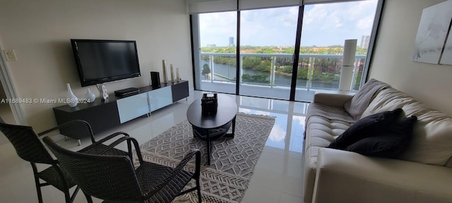 living room featuring a healthy amount of sunlight