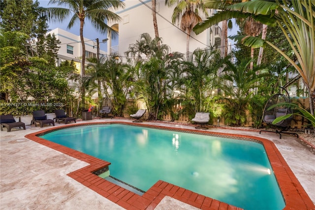 view of pool featuring a patio