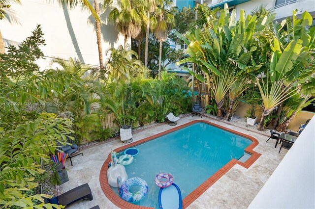 view of swimming pool featuring a patio area